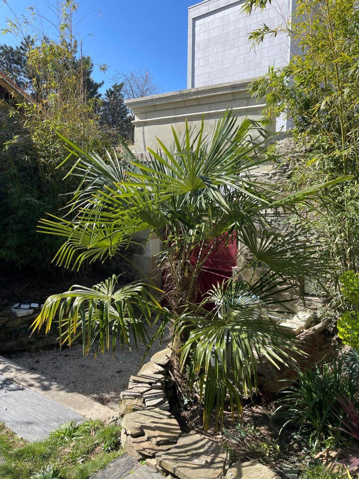 Logement Entier - La Laiterie De La Plume Nantes Exterior foto